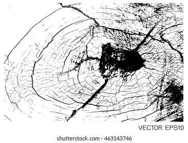 Vector wood grain texture