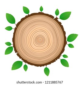 Vector wood plank isolated board with green foliage