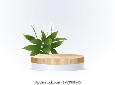 Vector wood podium on wall room background, presentation mock up, show cosmetic product display stage pedestal design