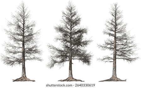 Vector wood shapes, dead pine trees, dry timber silhouettes, natural tree outlines, forest decay, rustic branches, pine elements, woodland graphics, bare tree trunks