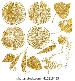 Vector wood splits and herbarium set isolated on white backdrop. Vector wood splits and herbarium set with gold glitter for your design.