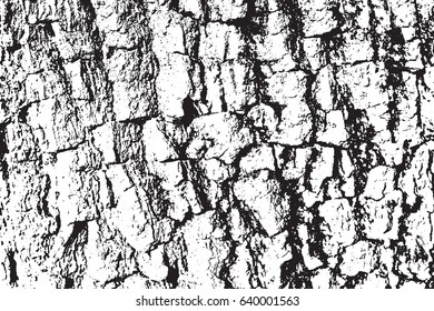 Vector Wood texture. Abstract background, tree bark. Overlay illustration over any design to create natural wooden effect and depth. For posters, banners, retro and urban designs.