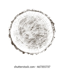 Vector Wood Texture Cross Section Tree Rings Cut Slice Brown Stump Isolated on White Showing Age and Years