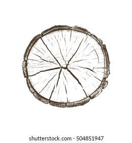 Vector Wood Texture Cross Section Tree Rings Cut Slice Brown Stump Isolated on White Showing Age and Years