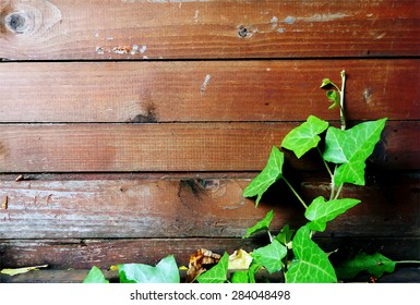 vector wood texture, grunge retro vintage wooden texture and leafs