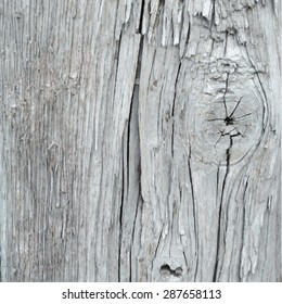 Vector wood texture. Old weathered painted wood