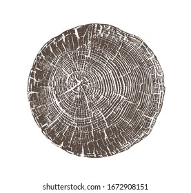 Vector wood texture of rough cracked ring pattern from a slice of tree. Grayscale wooden stump isolated on white.