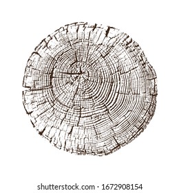 Vector wood texture of rough cracked ring pattern from a slice of tree. Grayscale wooden stump isolated on white.