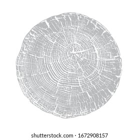 Textura de madera vectorial de un patrón de anillo rayado bruto de un trozo de árbol. Tapón de madera a escala de grises aislado en blanco.