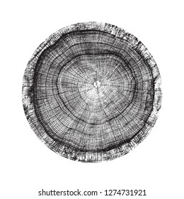 Vector wood texture of wavy ring pattern from a slice of tree. Grayscale wooden stump isolated on white.