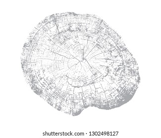Vector wood texture of wavy ring pattern from a slice of tree. Grayscale wooden stump isolated on white.
