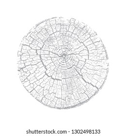 Vector wood texture of wavy ring pattern from a slice of tree. Grayscale wooden stump isolated on white.