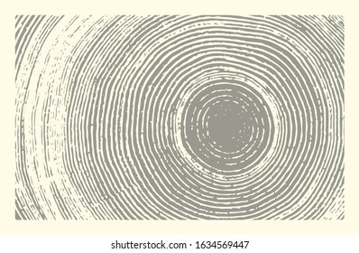 Vector wood texture of wavy ring pattern from a slice of tree. Grayscale wooden stump isolated on white.