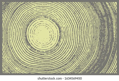 Vector wood texture of wavy ring pattern from a slice of tree. Grayscale wooden stump isolated on white.