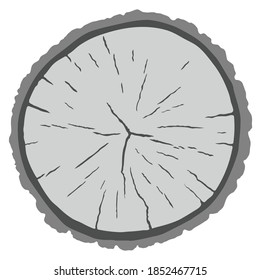 Vector wood texture of wavy ring pattern from a slice of tree. Grayscale wooden stump isolated on white.