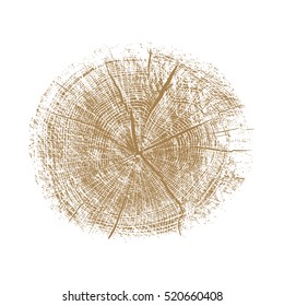 Vector wood texture of wavy ring pattern from a slice of tree. Light brown wooden stump isolated on white.