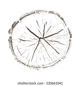 Vector wood texture of wavy ring pattern from a slice of tree. Grayscale wooden stump isolated on white.