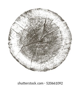 Vector wood texture of wavy ring pattern from a slice of tree. Grayscale wooden stump isolated on white.