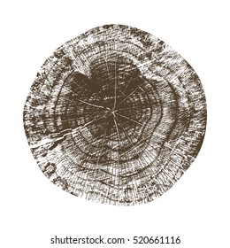 Vector wood texture of wavy ring pattern from a slice of tree. wooden stump isolated on white.