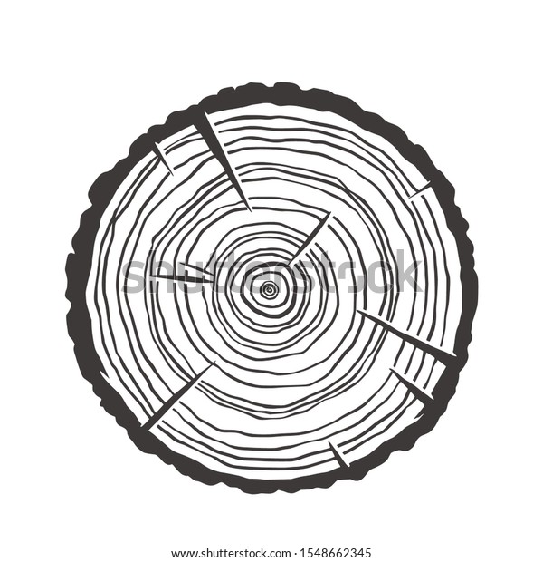 Vector wood texture of\
wavy ring pattern from a slice of tree. Monochrome wooden stump\
isolated on white 
