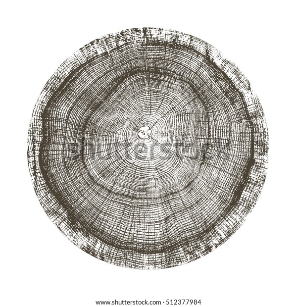 Vector wood texture of\
wavy ring pattern from a slice of tree. Grayscale wooden stump\
isolated on white.
