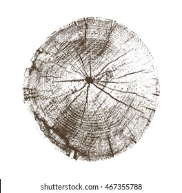 Vector Wood Tree Rings Aged Texture Cracked Slice Cross Section Alpha Channel with High Contrast 