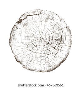 Vector Wood Tree Rings Aged Texture Cracked Slice Cross Section Alpha Channel with High Contrast 