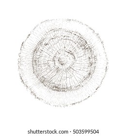 Vector Wood Tree Rings Aged Texture Cracked Slice Cross Section Alpha Channel with High Contrast