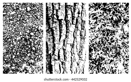 Vector wooden bark, stone and moss texteres