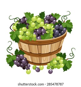 Vector wooden basket with black and grapes isolated on a white background.