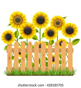 Vector Wooden Fence with Sunflowers