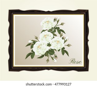 Vector wooden frame style vintage ,Beautiful rose isolated on white background,