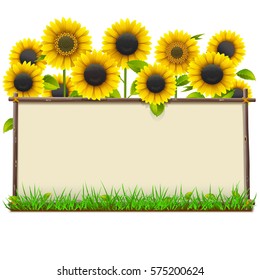 Vector Wooden Frame with Sunflowers