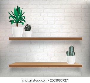  Vector wooden shelves with plants and glass retro vase. Vector mockup for interior with shelves and light wall. 