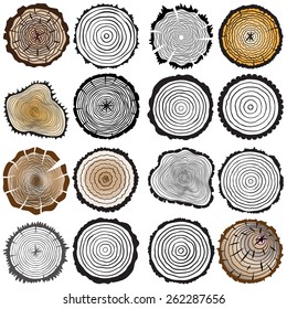 Vector wooden texture set of 16. Tree rings background and saw cut tree trunk. Variety of shapes and color.