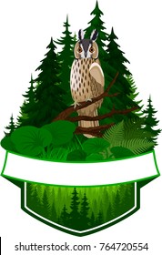 vector woodland emblem with owl