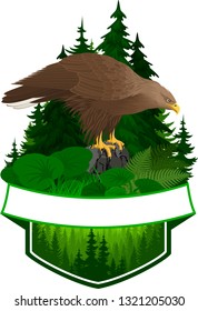 vector woodland emblem with white-tailed eagle