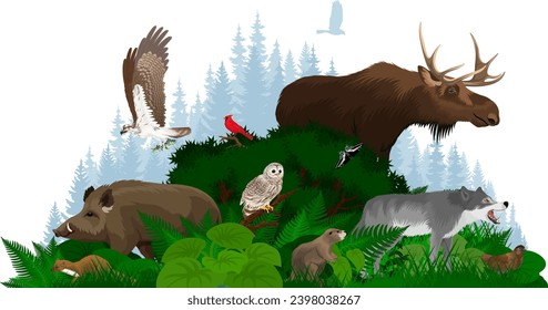 Vector woodland forest illustration with animals