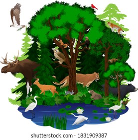 vector woodland green forest with animals