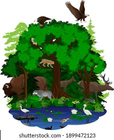 vector woodland green forest and lake with animals:  bison, bald eagle, deer, wolf, owl, lynx, racoon, turtle, spoonbill, Curlew and Ibis 