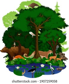 vector woodland green forest and lake with animals: eagle, snake, fox, wild hog, grizzly bear, cougar puma, deers, barn owl, turtle, black stork, heron and bittern