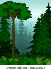 vector woodland green forest trees backlit