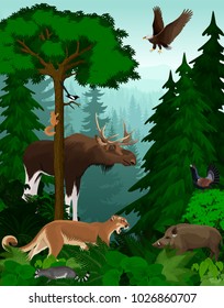 vector woodland green forest trees backlit with animals