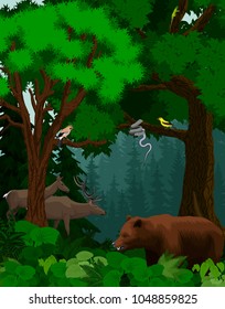 vector woodland green forest trees backlit with bear, deers, snake and birds