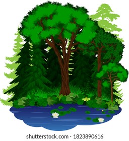 vector woodland green forest trees illustration (all individual items are in my portfolio)