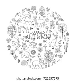 Vector woodland set of doodles animals and plants. Hand-drawn deer, fox, owl, hare, snail, squirrel, wolf, beaver. Autumn collection for colouring books for children, birthday invitations and posters.