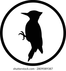 Vector woodpecker bird perched within a circular frame silhouette illustration