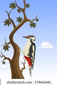 Vector woodpecker clinging to a tree trunk