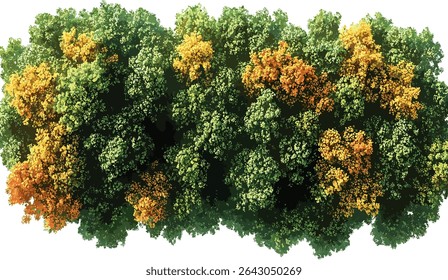 Vector woods, trees, yellowed leaves, greenery, transparent background, autumn landscape, forest background, fall nature, seasonal view, natural backdrop
