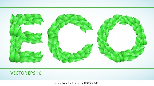 vector word "eco" written with  fresh green leaves